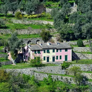 Appartamento Olivari - La Lavanda, Camogli